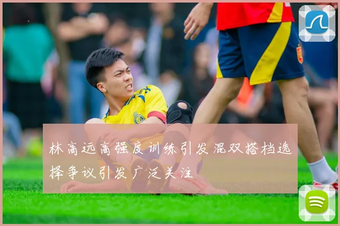 林高远高强度训练引发混双搭档选择争议引发广泛关注