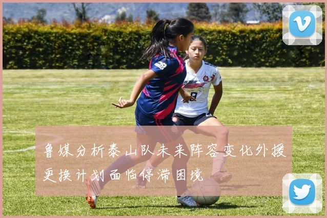 鲁媒分析泰山队未来阵容变化外援更换计划面临停滞困境